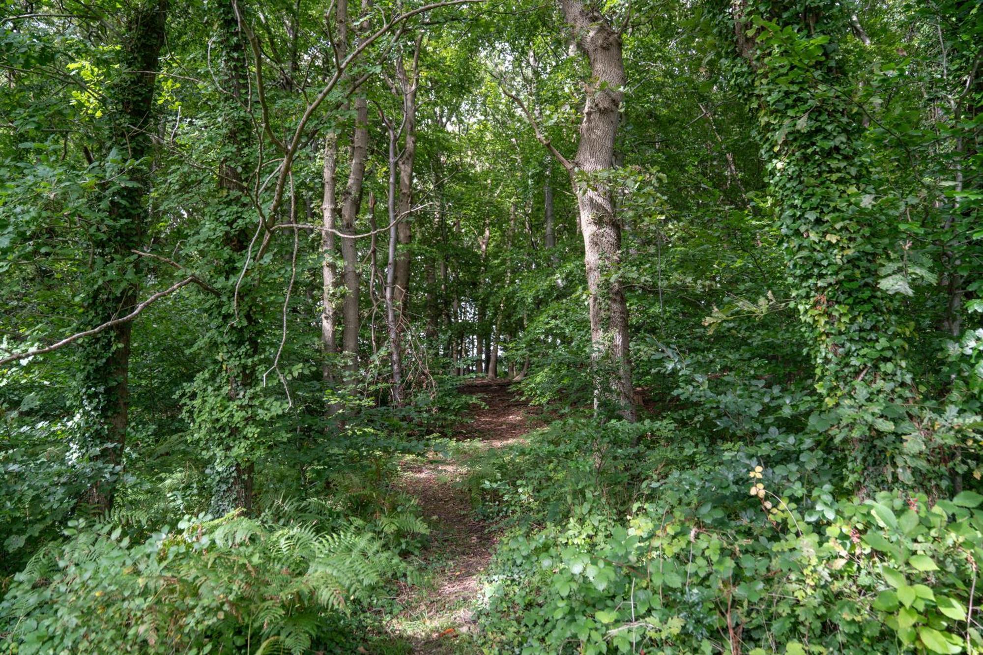 Gite 9 Personnes Fecamp Etretat Colleville 외부 사진